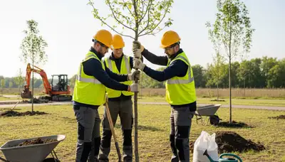 Tree planting service in Thornton, CO for healthy landscape establishment