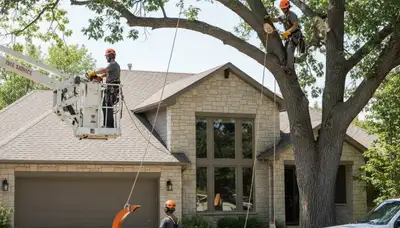 Tree service crew in Thornton, CO providing professional tree trimming and pruning for local properties